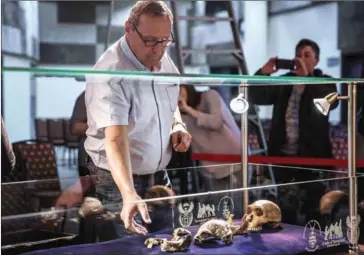  ?? GIANLUIGI GUERCIA/AFP ?? Dr Peter Schmid from the University of Zurich prepares ‘Neo’, a new found fossil skeleton in the Cradle Of Humankind area, to be displayed on Monday in Maropeng, South Africa.