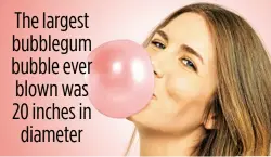  ??  ?? The largest bubblegum bubble ever blown was 20 inches in diameter