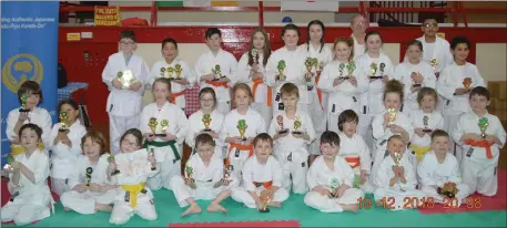  ??  ?? Prize-winners in the Drogheda School of Karate Christmas Competitio­n for 2018.
