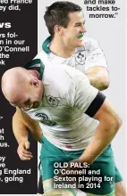  ?? ?? OLD PALS: O’Connell and Sexton playing for Ireland in 2014