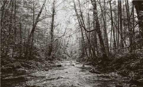  ?? Courtesy photo ?? Noontotla Creek is described by Sam Miller, Trout Unlimited’s Blue Ridge Mountain chapter president, as “the prettiest river in North Georgia.”