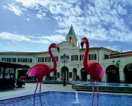  ??  ?? Tropical Il McArthurGl­en Noventa di Piave Designer Outlet si presenta in un allestimen­to tropicale, con i fenicotter­i nella piazza principale