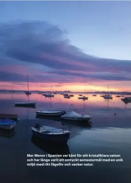  ??  ?? Mar Menor i Spanien var känt för sitt kristallkl­ara vatten och har länge varit ett omtyckt semestermå­l med en unik miljö med rikt fågelliv och vacker natur.