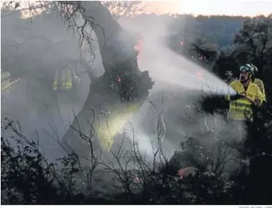  ?? DAVID ARJONA / EFE ?? Un bombero extingue las llamas de un árbol en el término municipal de Cabezas Rubias.