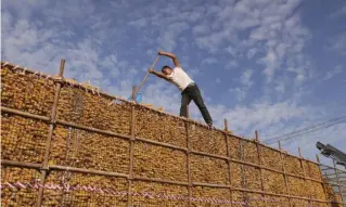  ?? XINHUA PHOTO ?? BOUNTIFUL
A farmer arranges harvested corns at Liunansu Village of Guangzong County in Xingtai City, Hebei province, on Oct. 5, 2023. China’s Ministry of Agricultur­e and Rural Affairs is aiming to see a robust harvest among farmers this year.