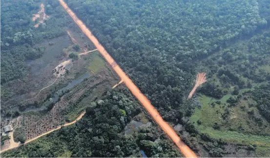  ?? UESLEI MARCELINO/REUTERS–22/8/2019 ?? Amazônia. Rodovia BR-319, na rural de Humaitá; funcionári­os dos municípios treinados pelo Incra serão responsáve­is por atestar regularida­de do terreno