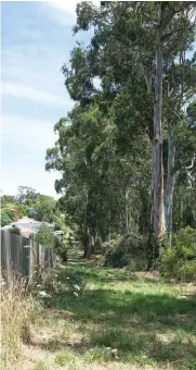  ??  ?? A small buffer is all that separates houses in Palm Court, Drouin, from dense bushland and scrub at the rear of the properties.