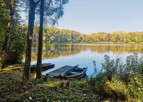  ?? Fotos: Laura Mielke ?? Eine kleine Idylle mitten im Wald. Orte wie diesen findet man immer wieder auf dem Premiumweg zwischen Höchstädt und Dillingen.