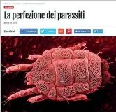  ??  ?? Sul blog
Grillo paragona alla «perfezione del parassita», che «cerca nutrimento dalle stesse forze che lo hanno sconfitto», il comportame­nto del Pd