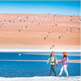  ?? fotos: archivo ?? El norte se posiciona como una de las zonas estrella