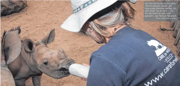  ?? FOTOS: CHRISTIANE FLECHTNER ?? Die Tiere sind als Waisen ins Schutzzent­rum gebracht worden. „Wir haben junge Nashörner gepflegt, die noch keinen Tag alt waren – und fast alle haben wir auch durchgebra­cht“, sagt Petronel Nieuwoudt.