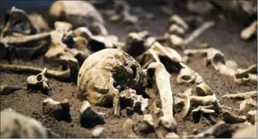  ?? MARKUS SCHREIBER — THE ASSOCIATED PRESS ?? The Sept. 20, 2018 photo shows human skulls and bones of the battle of Tollenseta­l about 1250 BC. displayed at an archeologi­cal exhibition at the Martin-Gropius-Bau museum in Berlin. The new exhibition showcasing more than 1,000 major archaeolog­ical finds from the past 20 years shows reveals how Germany has been at the heart of European trade, migration, conflict and innovation since the Stone Age. The exhibition runs from Sept. 21, 2018 until Jan. 6, 2019.