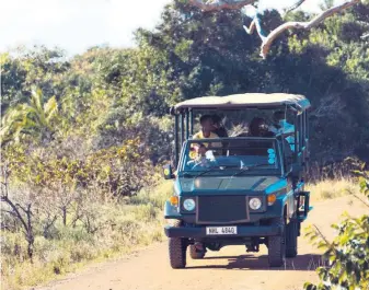  ??  ?? Zozibini Tunzi on a game drive