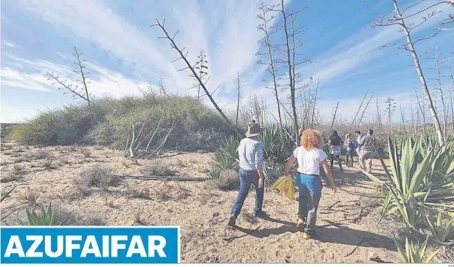  ?? SSS ?? Al fondo a la izquierda, un azufaifo de gran altura en el Parque Natural Cabo de Gata-Níjar.