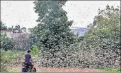  ??  ?? A man rides through a swarm of locusts over a field in Bhopal on June 14.