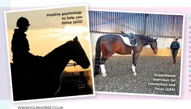  ??  ?? psychology Positive tohelpyou thrive (p22)
WWW.YOURHORSE.CO.UK
Groundwork exercises for connection and focus (p34)