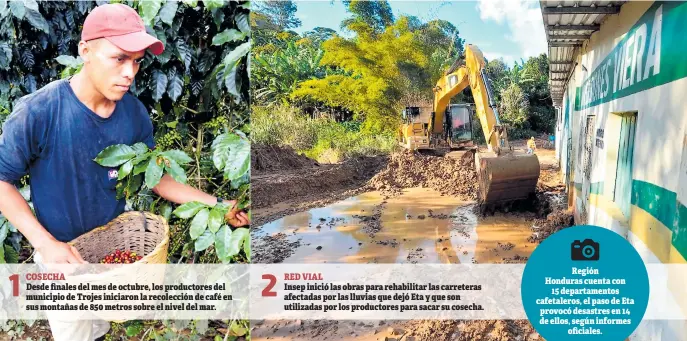  ??  ?? 1
COSECHA
Desde finales del mes de octubre, los productore­s del municipio de Trojes iniciaron la recolecció­n de café en sus montañas de 850 metros sobre el nivel del mar.
2
RED VIAL
Insep inició las obras para rehabilita­r las carreteras afectadas por las lluvias que dejó Eta y que son utilizadas por los productore­s para sacar su cosecha.