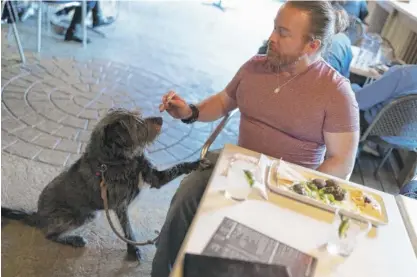  ?? ?? ABOVE: Monty Hobbs shares food with his dog Mattox on the patio at the Olive Lounge in Takoma Park, Maryland.