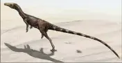  ?? (Dessin Daniel Verhelst) ?? Compsognat­hus ressemblai­t à ça. Il était couvert de protoplume­s.