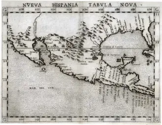  ??  ?? Left: A 1561 map of Mexico. Below: Cocoxochit­l, aka a double Dahlia, an engraving from Francisci Hernandez 17th century publicatio­n Rerum medicarum Novae Hispani.