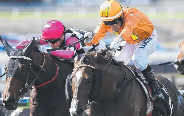  ?? Picture: AAP ?? READY TO GO: Jockey Jeff Lloyd (front) rides Tyzone to victory at Brisbane’s Doomben Racecourse in May.