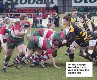  ??  ?? On the charge: Waterloo try in vain to break the Wasps line