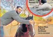  ?? PHOTOS: INSTAGRAM ?? Salman Khan at Panvel farmhouse