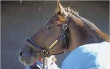  ?? AP PHOTO ?? HE’S NO. 1: Irish War Cry has been installed as the favorite for the Belmont Stakes.