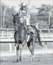  ?? Benoit Photo ?? McKINZIE won his only race under jockey Mike Smith by 51⁄2 lengths in October at Santa Anita.