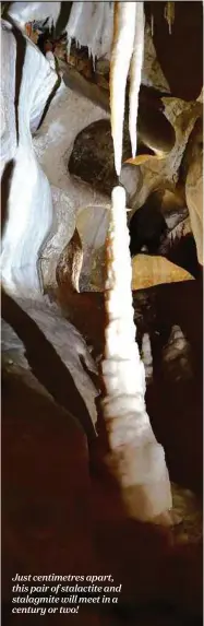  ??  ?? Just centimetre­s apart, this pair of stalactite and stalagmite will meet in a century or two!