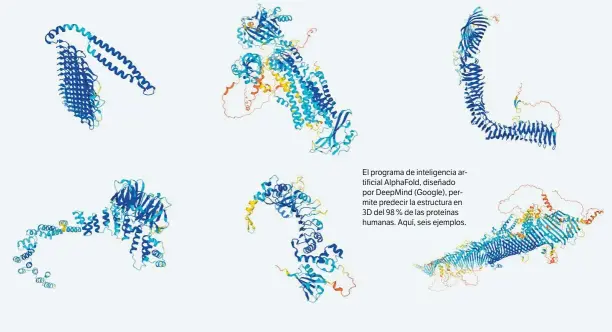  ??  ?? DEEPMIND
El programa de inteligenc­ia artificial AlphaFold, diseñado por DeepMind (Google), permite predecir la estructura en 3D del 98 % de las proteínas humanas. Aquí, seis ejemplos.