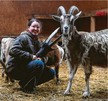  ?? Fotos: Marcus Merk ?? Blanka Hoffmann arbeitet ein Jahr lang als Tierpflege­rin auf Gut Morhard. Die Ziegen sind ihr besonders ans Herz gewachsen.