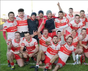  ??  ?? The Kilanerin squad celebrate after making football history for club and county with a first-ever Leinster t