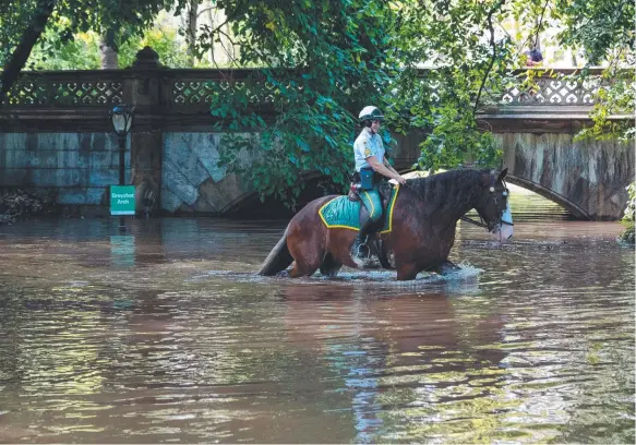  ??  ?? A New York City parks security service officer on horseback explore the Greyshot Arch, which is flooded in Central Park. Picture: Getty/AFP