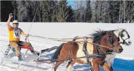  ?? FOTO: KLAUS GIERER, OH ?? Der Wasserburg­er Josef Schmid gewinnt mit seinen Ponys Mäxle und Sim das Schlittenr­ennen in Scheidegg