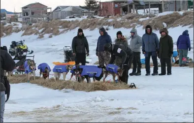  ?? ?? Photos by Peter Loewi BETHEL MUSHER (top)—Spectators gathered Sunday evening to watch as Pete Kaiser tends to his team. Kaiser would stay in Unalakleet for about four hours.\