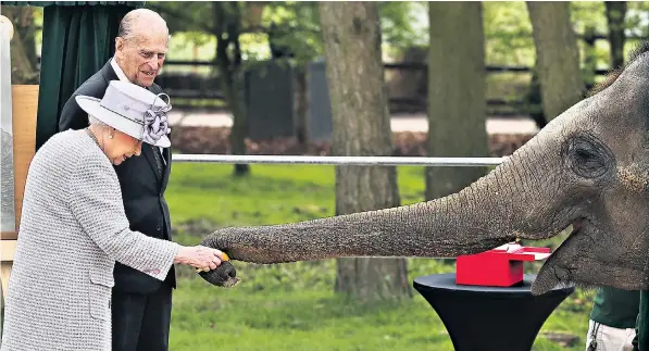  ??  ?? Donna the elephant breached royal protocol by grabbing a banana from the Queen’s hand at Whipsnade Zoo. Her Majesty and the Duke of Edinburgh were at the Bedfordshi­re attraction to launch its new £2 million centre for the animals. The Queen said: “The...