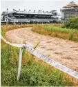  ?? Foto: Rumpenhors­t/dpa ?? Das Geländer der Frankfurte­r Galopp rennbahn, auf dem der neue Hauptsitz des Deutschen Fußball Bundes (DFB) entstehen soll.