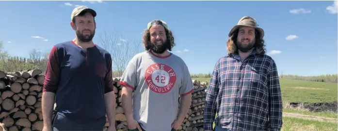  ??  ?? Jean-Christoph, Gabriel et Raphaël Picard, les trois frères débrouilla­rds qui sont propriétai­res de la Ferme Tourne-Sol avec leur mère.