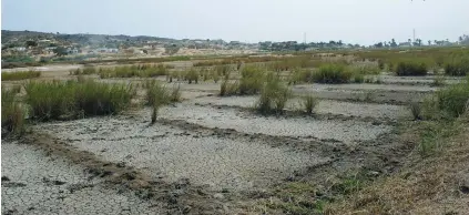  ?? VICTOR PEDRO|EDIÇÕES NOVEMBRO ?? Alterações provocadas pelo fenómeno “El Niño” e pelas mudanças climáticas estão a afectar as culturas em toda a região da África Austral