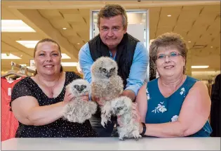  ?? NEWS PHOTO RYAN MCCRACKEN ?? Alberta Birds of Prey Centre managing director Colin Weir stands with Tammy Johnson (right), Jodi Oman Mack (left) and a trio of rescued baby Great Horned Owls at Pennington­s clothing store in Medicine Hat on Tuesday, May 19, 2020. Johnson discovered an owlet hiding behind a garbage can outside the store and contacted the Alberta Birds of Prey Centre for help.