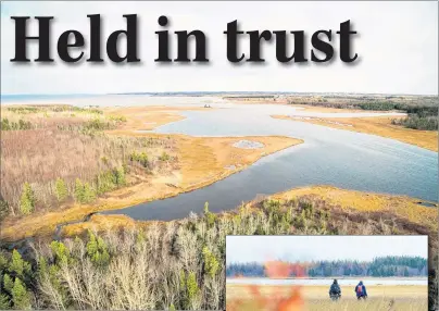  ?? PHOTO BY SEAN LANDSMAN ?? The Nature Conservanc­y of Canada recently purchased 141 acres of salt marsh and forest near Abram Village.