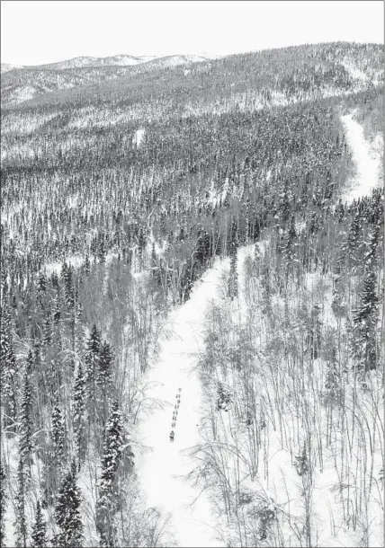  ?? LOREN HOLMES/AP ?? Tom Frode Johansen mushes on a road between Takotna and Ophir, Alaka, on Thursday during the Iditarod Trail Sled Dog Race.