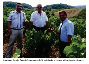  ??  ?? Jean-Marie Sermier (à droite) a vendangé le 30 août la vigne Pasteur, à Montigny-Les-Arsures.