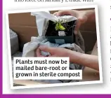  ??  ?? Plants must now be mailed bare-root or grown in sterile compost