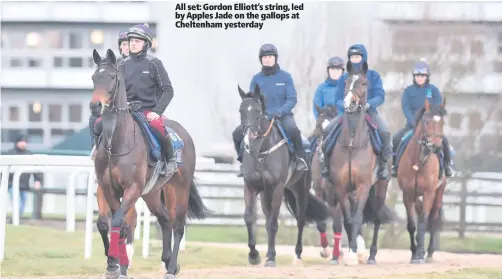  ??  ?? All set: Gordon Elliott’s string, led by Apples Jade on the gallops at Cheltenham yesterday
