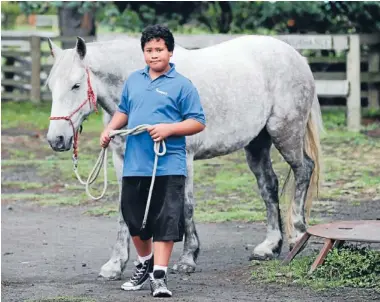  ?? Photo: JOHN COWPLAND/FAIRFAX NZ ?? Reined in: Donnell Nathan, 10, of Irongate School, in Flaxmere, learns to lead Benny, a former Kaimanawa horse.