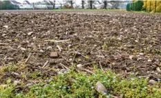  ?? Foto: Eichhammer ?? Die Pachtpreis­e für Acker‰ und Grünland sind in der Region recht unterschie­dlich. Am meisten bezahlen müssen Bauern in Memmingen.