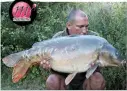  ??  ?? DAVE Light found a shallow ledge on Pepper Lake at Cottington, in Kent, and caught this 37lb 4oz mirror on Mainline boilies and a Ronnie rig.