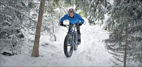  ?? DESIREE ANSTEY/ JOURNAL PIONEER ?? Albert Flavell will maintain all the trails in the Rotary Friendship Park year-round, using equipment from Cycle P.E.I.